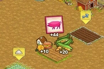 9660.jpg